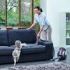 Dyson Big Ball vacuum cleaner - Global Gadgets